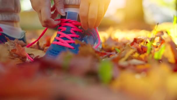ジョギングや夕日を歩いている間に靴ひもを結ぶ女性 秋の黄色い葉について スローモーション — ストック動画