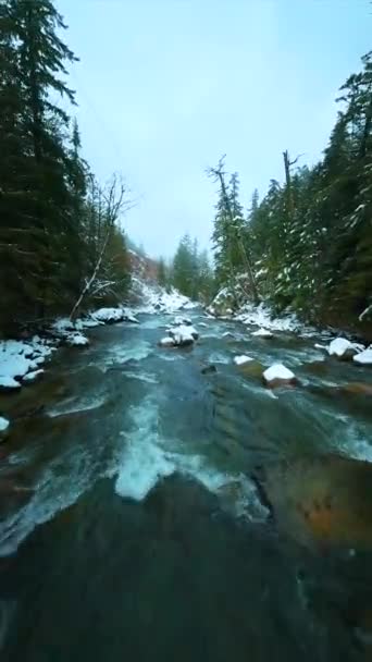 Fpv Insansız Hava Aracı Kışın Suya Yakın Hızlı Akan Nehirde — Stok video