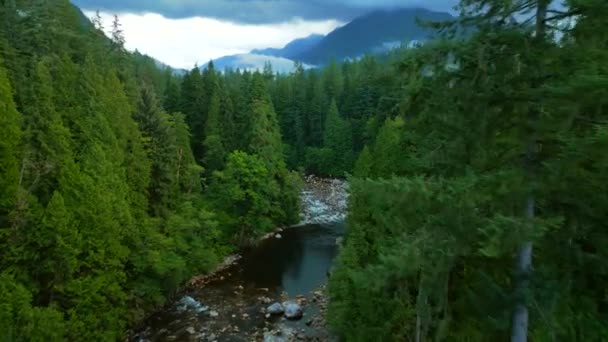 Widok Lotu Ptaka Piękny Krajobraz Górski Górska Rzeka Płynie Wśród — Wideo stockowe