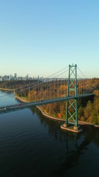 Lions Gate Bridge Stanley Park Légi Kilátása Hajnalban Vancouver Belvárosa — Stock videók