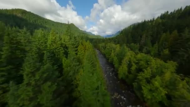 Voo Rápido Por Drone Fpv Sobre Uma Paisagem Montanhosa Rio — Vídeo de Stock