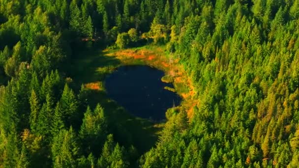 Vue Aérienne Lac Lucille Montagne Près Whistler Belle Nature Canadienne — Video