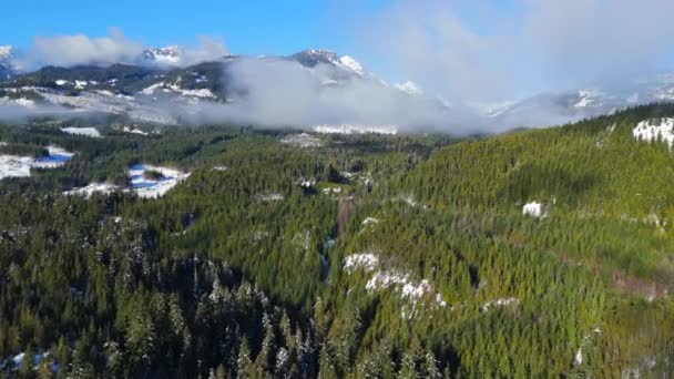 산기슭에 안개가있는 나무의 캐나다 브리티시 컬럼비아 캐나다에서 캐나다의 — 비디오