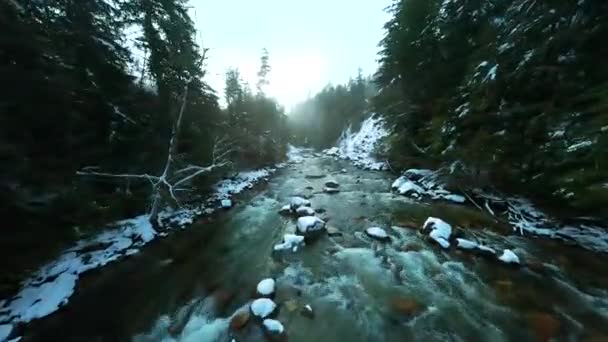 Fpv Drohnenflug Über Den Schnell Fließenden Fluss Mit Stromschnellen Winter — Stockvideo
