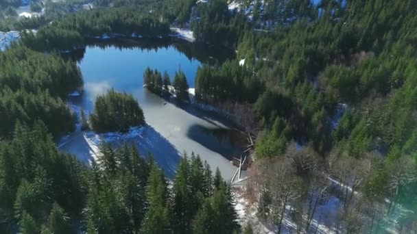Vista Aérea Árboles Verdes Lago Las Montañas Paisaje Rocoso Canadiense — Vídeos de Stock