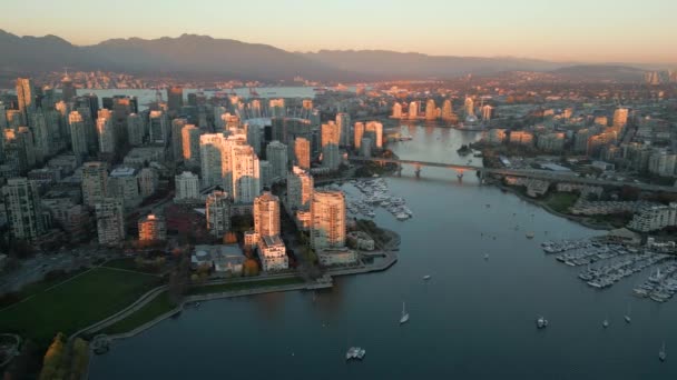 Aerial View Skyscrapers Downtown Mountains False Creek Vancouver British Columbia — 비디오