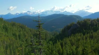 Squamish yakınlarında buzullu dağların havadan görünüşü British Columbia, Kanada.