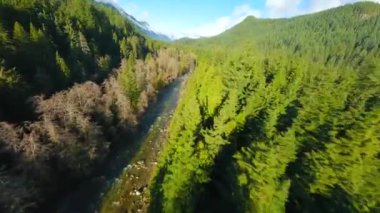 Dağ manzarası üzerinde FPV insansız hava aracı ile uçmak ve büyük taşların arasında akan ve kıyılarda ağaçlarla çevrili bir nehir. Vancouver, British Columbia, Kanada. 