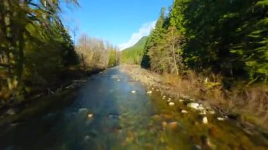 FPV insansız hava aracıyla büyük taşların arasında akan ve kıyılarda ağaçlarla çevrili bir dağ nehri üzerinde hızlı bir uçuş. Vancouver, British Columbia, Kanada. 