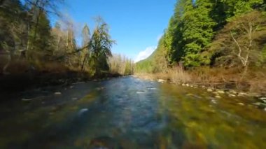 FPV insansız hava aracıyla büyük taşların arasında akan ve kıyılarda ağaçlarla çevrili bir dağ nehri üzerinde hızlı bir uçuş. Vancouver, British Columbia, Kanada. 