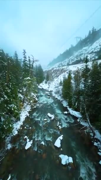 Fpv无人驾驶飞机在快速移动的河流上空飞驰 冬季接近水面 被松林环绕 在加拿大不列颠哥伦比亚省惠斯勒附近拍摄 垂直录像 — 图库视频影像