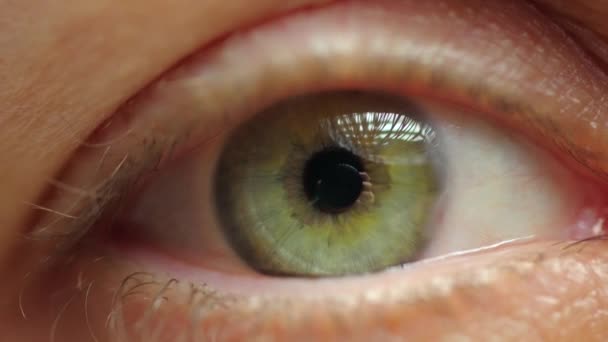 Extreme Close Της Γυναίκας Αναβοσβήνει Όμορφο Μάτι Πράσινη Ίριδα Υγιής — Αρχείο Βίντεο