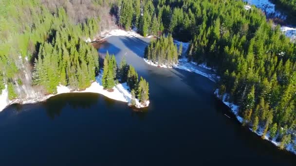 Veduta Aerea Alberi Verdi Lago Montagna Paesaggio Roccioso Canadese Ricoperto — Video Stock