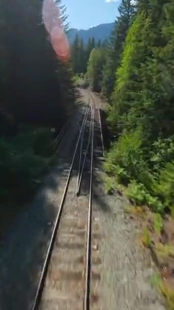 Fpv Drönaren Flyger Snabbt Framåt Över Järnvägsspåret Träd Omger Järnvägen Videoklipp