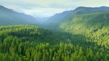 Çarpıcı dağ manzarasının havadan görünüşü. Vancouver yakınlarında çekilmiş, British Columbia, Kanada. Doğa Arkaplanı.