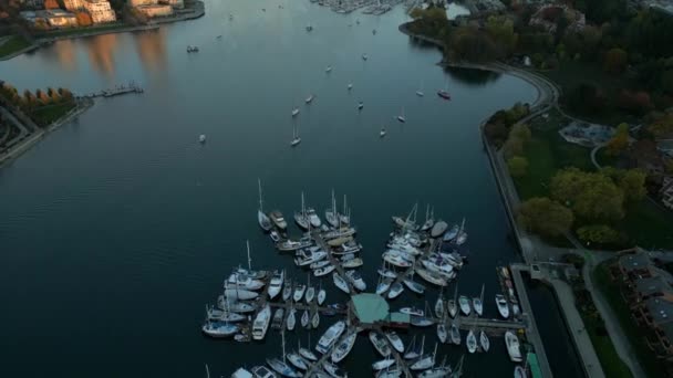 ダウンタウン ファルス クリーク ボート付きマリーナの高層ビュー バンクーバー ブリティッシュコロンビア カナダ ストック動画