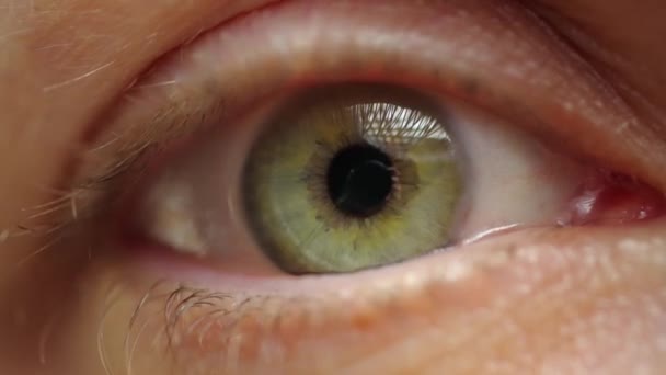 Extremo Close Mulher Piscando Belo Olho Com Íris Verde Conceito — Vídeo de Stock