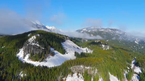 Dağ Yamaçlarında Sis Olan Yeşil Ağaçların Havadan Görünüşü Kanada Kayalık — Stok video