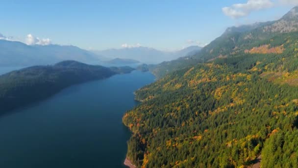 カナダの素晴らしい秋の風景 ブリティッシュコロンビア州ハリソン湖のカラフルな森の空中観察 ロイヤリティフリーストック映像