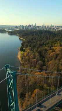 Dikey video. Şafakta Lions Gate Köprüsü ve Stanley Parkı 'nın havadan görüntüsü. Arka planda Vancouver şehir merkezi var. Britanya Kolombiyası Kanada. 
