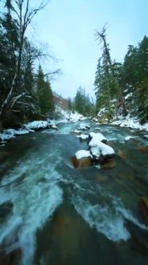 FPV insansız hava aracı kışın suya yakın, hızlı akan nehirde akıntıyla uçuyor. Etrafı çam ormanlarıyla çevrili. Whistler, British Columbia, Kanada yakınlarında çekilmiş. Dikey video