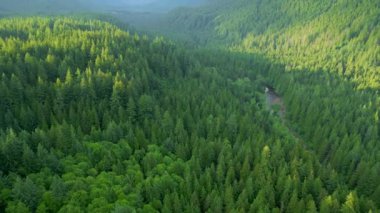 Çarpıcı dağ manzarasının havadan görünüşü. Vancouver yakınlarında çekilmiş, British Columbia, Kanada. Doğa Arkaplanı.