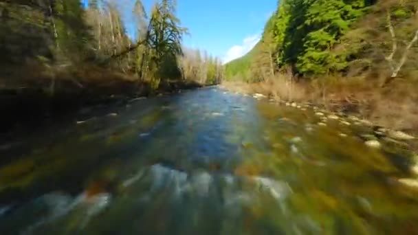大きな石の間を流れ 銀行の木々に囲まれた山の川の上のFpvドローンによる高速飛行 バンクーバー ブリティッシュコロンビア カナダ 動画クリップ