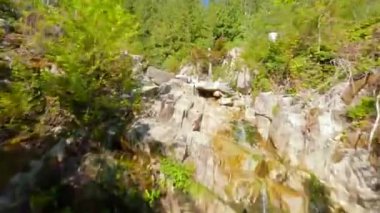 Ormandaki derenin üzerinden uçuyor. Kanada doğası FPV insansız hava aracı tarafından filme alındı. Vancouver, British Columbia, Kanada yakınlarında çekilmiş.. 