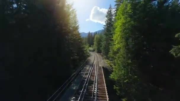 Fpvドローンは高速で鉄道トラックを飛行しています 木々は両側の鉄道を囲んでいる 旅行コンセプト ブリティッシュコロンビア カナダ 動画クリップ
