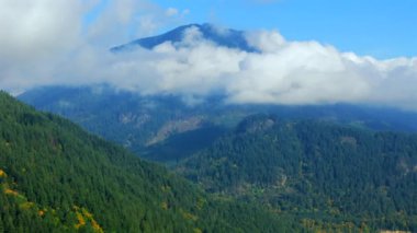 Kanada 'da göz kamaştırıcı sonbahar manzarası, British Columbia. Dağ yamaçlarındaki renkli ormanın ve bulutlu gökyüzünün havadan görünüşü. 