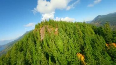 Kanada 'da göz kamaştırıcı sonbahar manzarası. Dağ yamaçlarındaki renkli ormanın havadan görünüşü ve Harrison Gölü, British Columbia. FPV insansız hava aracı tarafından çekildi.