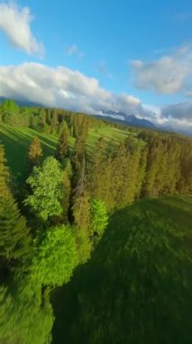 Tantra 'nın güzel dağlarının ve etrafındaki manzaranın nefes kesici manzarası. Orman, çayırlar ve yeşil çimenler. Lapszanka, Tatra dağları, Polonya. FPV Drone 'da çekildi. Dikey video