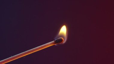 Kibrit yanıyor ve sönüyor. Karanlık arka planda sönmüş bir kibritten çıkan beyaz duman, yavaş çekim