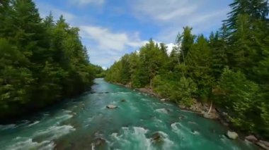 FPV insansız hava aracı hızlı akan nehir üzerinde su ve demiryolu hattına yakın bir yerde uçuyor. Etrafı çam ormanlarıyla çevrili. Whistler, British Columbia, Kanada yakınlarında çekilmiş..