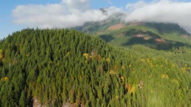 Kanada 'da göz kamaştırıcı sonbahar manzarası, British Columbia. Dağ yamaçlarındaki renkli ormanın ve bulutlu gökyüzünün havadan görünüşü. 