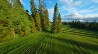 Tantra 'nın güzel dağlarının ve etrafındaki manzaranın nefes kesici manzarası. Orman, çayırlar ve yeşil çimenler. Lapszanka, Tatra dağları, Polonya. FPV Drone 'da çekiliyor