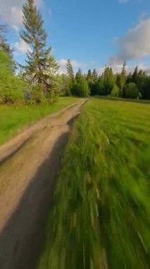 Tantra dağlarındaki yol boyunca nefes kesen çevik uçuş. Orman, çayırlar ve yeşil çimenler. Lapszanka, Tatra dağları, Polonya. FPV Drone 'da çekildi. Dikey video