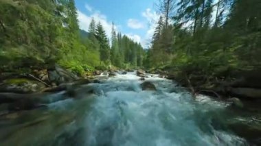 Ağaçlarla çevrili bir dağ nehrinin üzerinden hızla uçuyor. FPV insansız hava aracı ile vuruldu. Tatra Dağları, Slovakya. 