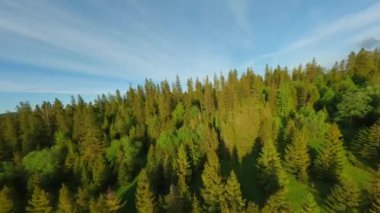 Tantra 'nın güzel dağlarının ve etrafındaki manzaranın nefes kesici manzarası. Orman, çayırlar ve yeşil çimenler. Lapszanka, Tatra dağları, Polonya. FPV Drone 'da çekiliyor