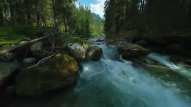 Ağaçlarla çevrili bir dağ nehrinin üzerinden hızla uçuyor. FPV insansız hava aracı ile vuruldu. Tatra Dağları, Slovakya. 