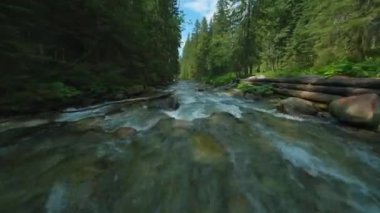Ağaçlarla çevrili bir dağ nehrinin üzerinden hızla uçuyor. FPV insansız hava aracı ile vuruldu. Tatra Dağları, Slovakya. 