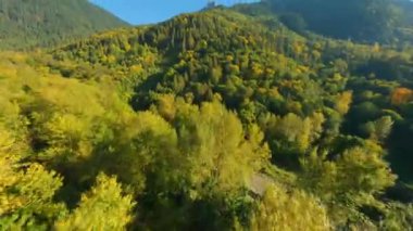 FPV Drone 'la dağ manzarası üzerinde çevik uçuş. Sonbahar manzarası. Vancouver, British Columbia, Kanada yakınlarında çekilmiş.. 