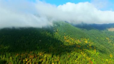 Kanada 'da göz kamaştırıcı sonbahar manzarası, British Columbia. Dağ yamaçlarındaki renkli ormanın bulutların arasından havadan görünüşü. 