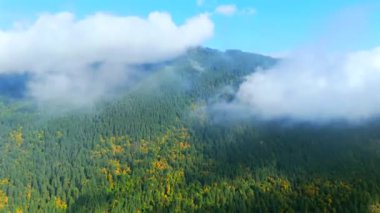 Kanada 'da göz kamaştırıcı sonbahar manzarası, British Columbia. Dağ yamaçlarındaki renkli ormanın bulutların arasından havadan görünüşü. Hızlandırılmış video