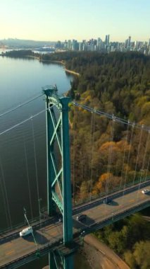Şafakta Lions Gate Köprüsü ve Stanley Parkı 'nın havadan görüntüsü. Arka planda Vancouver şehir merkezi var. Britanya Kolombiyası Kanada. Dikey video. Hız rampası