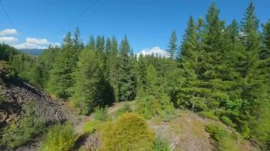 FPV insansız hava aracı demiryolu üzerinde hızla ilerliyor. Demiryolunun her iki tarafını da çevreleyen ağaçlar. Seyahat konsepti. British Columbia, Kanada