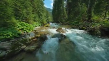 Ağaçlarla çevrili bir dağ nehrinin üzerinden hızla uçuyor. FPV insansız hava aracı ile vuruldu. Tatra Dağları, Slovakya. 