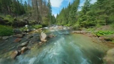 Ağaçlarla çevrili bir dağ nehrinin üzerinden hızla uçuyor. FPV insansız hava aracı ile vuruldu. Tatra Dağları, Slovakya. 