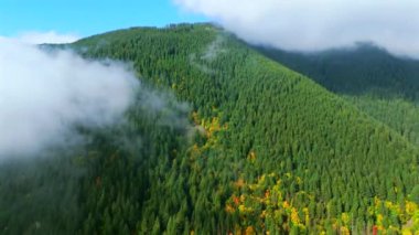 Kanada 'da göz kamaştırıcı sonbahar manzarası, British Columbia. Dağ yamaçlarındaki renkli ormanın bulutların arasından havadan görünüşü. 