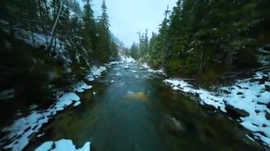 FPV insansız hava aracı kışın hızlı akan nehirde hızlı bir şekilde uçuyor. Etrafı çam ormanlarıyla çevrili. Whistler, British Columbia, Kanada yakınlarında çekilmiş..